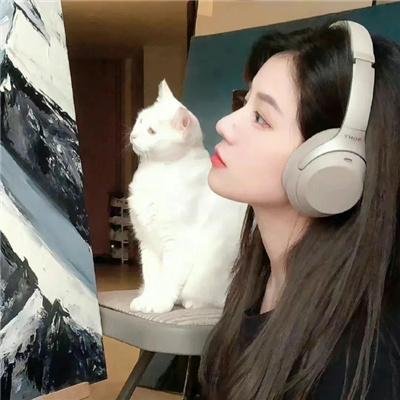 鲨颤